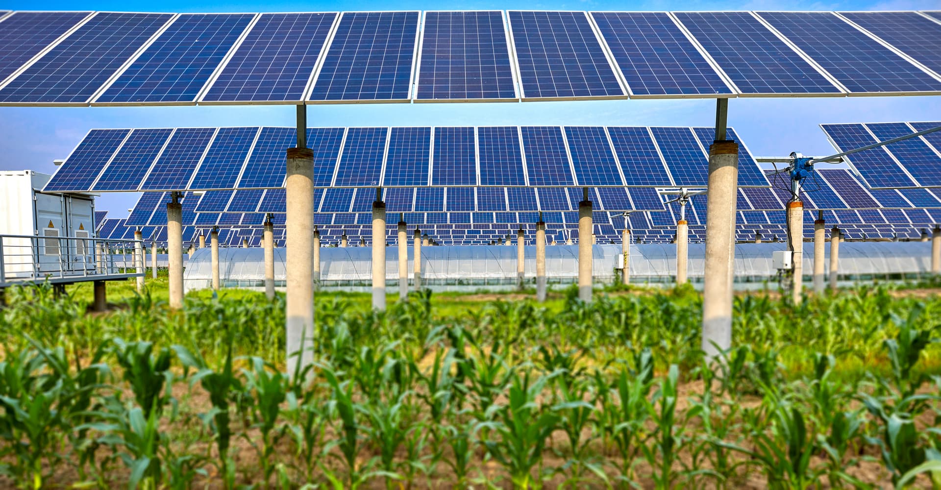 Bio-Diversitäts-PV / Agri-PV fördern bzw. als Kommune implementieren