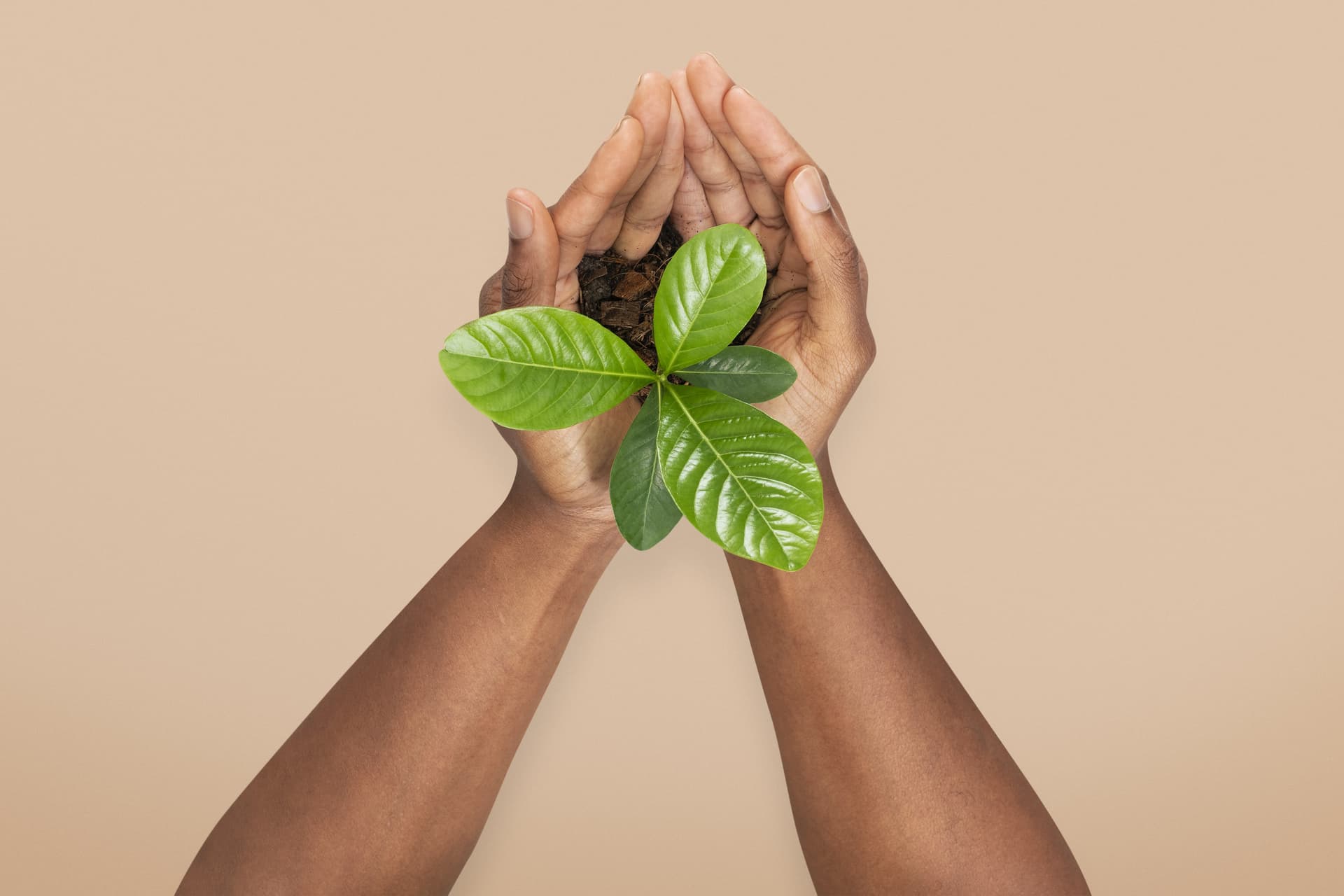 Fairtrade Kommune werden